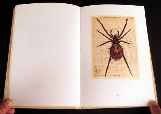 AB_Fabre Jan_Insects 1